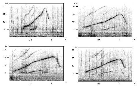 click on the graph to enlarge!